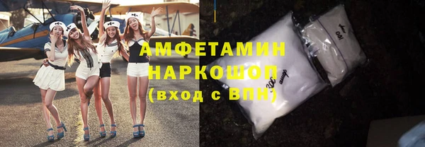 прущие грибы Алзамай