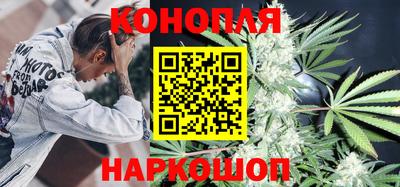 сатива Донской