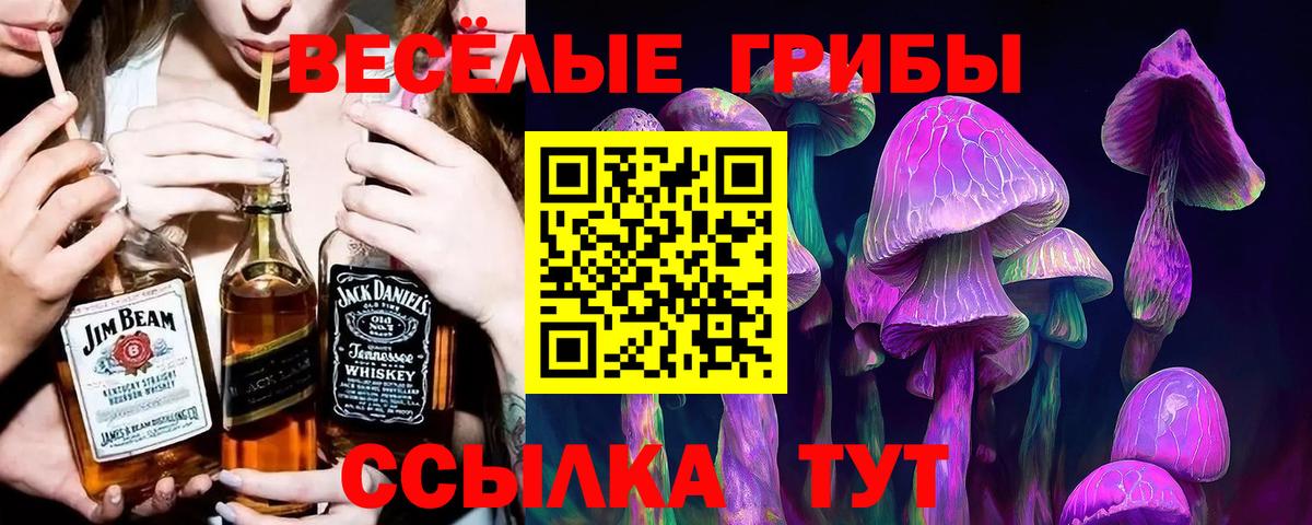 Галлюциногенные грибы GOLDEN TEACHER  Вход с VPN  Лянтор 